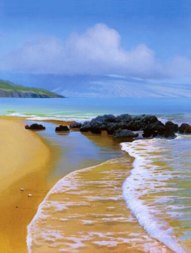 Natural Home Goes to Maui